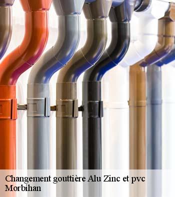 Changement gouttière Alu Zinc et pvc 56 Morbihan  Queven entretien