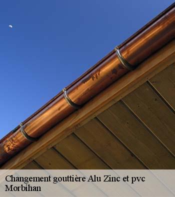 Changement gouttière Alu Zinc et pvc 56 Morbihan  Queven entretien