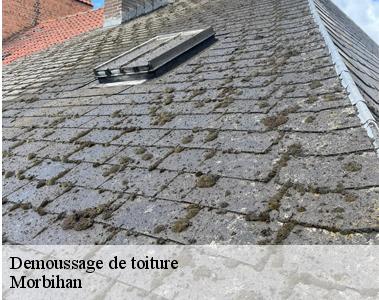 Demoussage de toiture-2
