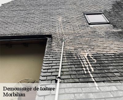 Demoussage de toiture-5