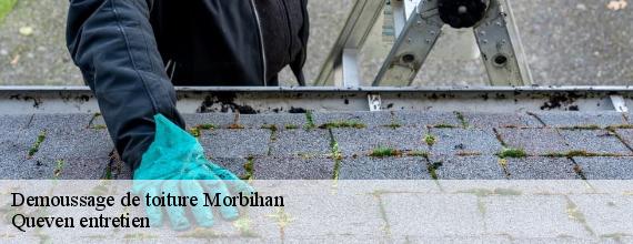 Demoussage de toiture 56 Morbihan  Queven entretien