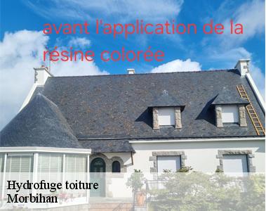 Hydrofuge toiture-2