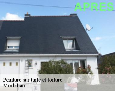 Peinture sur tuile et toiture-2