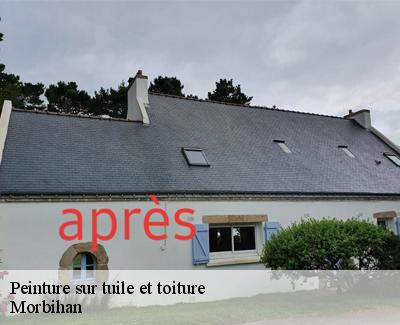 Peinture sur tuile et toiture-5