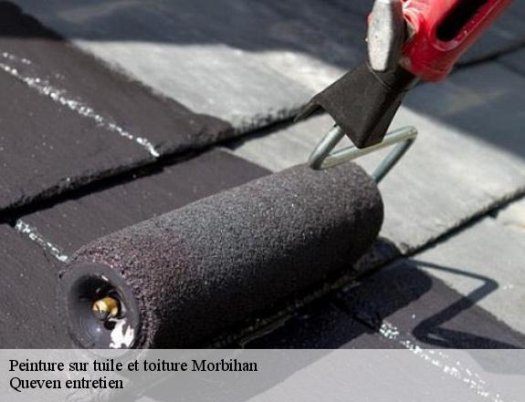 Peinture sur tuile et toiture 56 Morbihan  Queven entretien