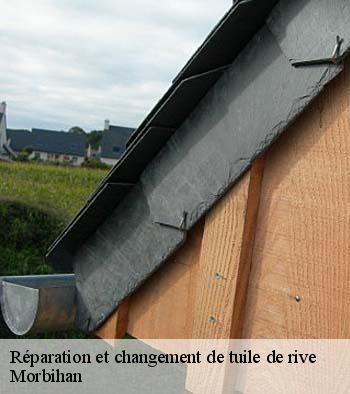 Réparation et changement de tuile de rive  56 Morbihan  Queven entretien
