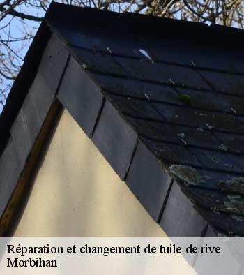 Réparation et changement de tuile de rive  56 Morbihan  Queven entretien