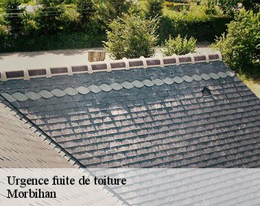 Urgence fuite de toiture-2