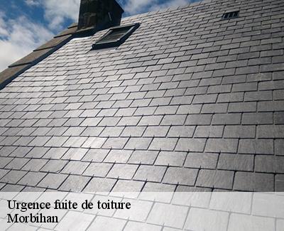 Urgence fuite de toiture-5