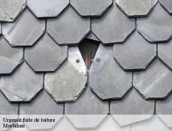 Urgence fuite de toiture 56 Morbihan  Queven entretien
