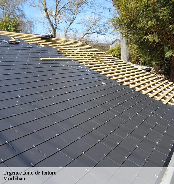 Urgence fuite de toiture-8