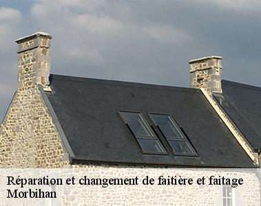 Réparation et changement de faitière et faitage-2