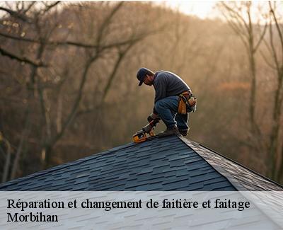 Réparation et changement de faitière et faitage-5