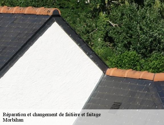 Réparation et changement de faitière et faitage 56 Morbihan  Queven entretien