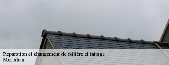 Réparation et changement de faitière et faitage 56 Morbihan  Queven entretien