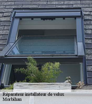 Réparateur installateur de velux 56 Morbihan  Queven entretien