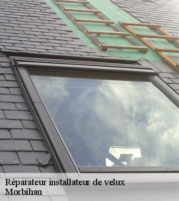 Réparateur installateur de velux 56 Morbihan  Queven entretien