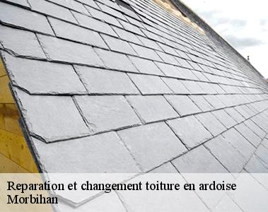 Reparation et changement toiture en ardoise-2