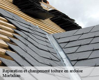 Reparation et changement toiture en ardoise-5