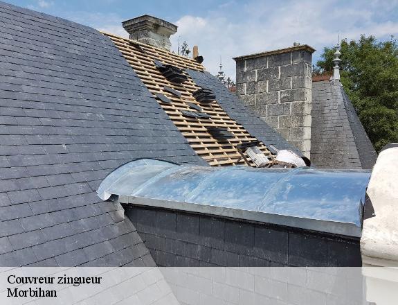 Couvreur zingueur 56 Morbihan  Queven entretien