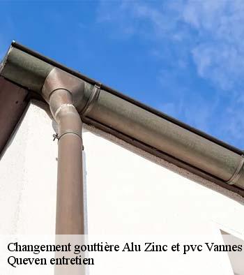 Changement gouttière Alu Zinc et pvc  vannes-56000 Queven entretien