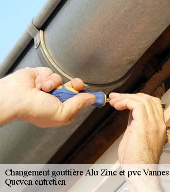 Changement gouttière Alu Zinc et pvc  vannes-56000 Queven entretien