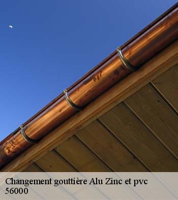 Changement gouttière Alu Zinc et pvc  vannes-56000 Queven entretien
