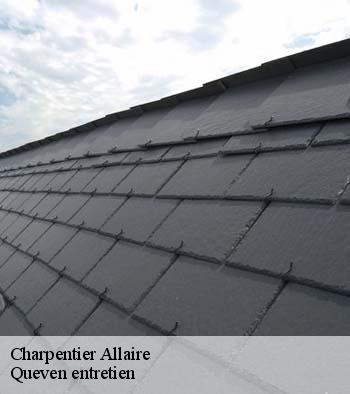 Charpentier  allaire-56350 Queven entretien