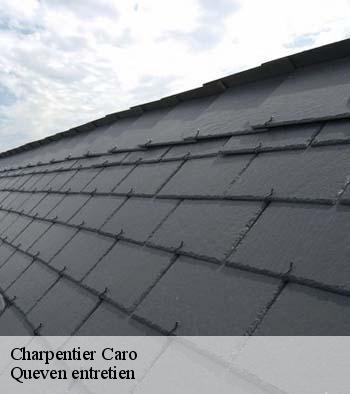 Charpentier  caro-56140 Queven entretien