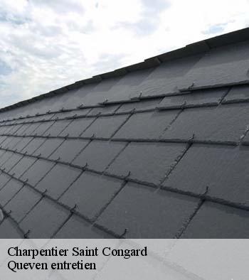 Charpentier  saint-congard-56140 Queven entretien