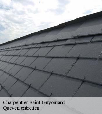 Charpentier  saint-guyomard-56460 Queven entretien