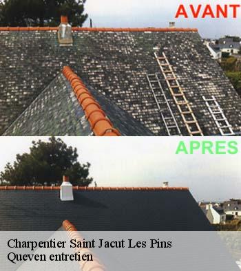 Charpentier  saint-jacut-les-pins-56220 Queven entretien