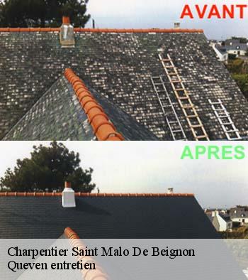 Charpentier  saint-malo-de-beignon-56380 Queven entretien