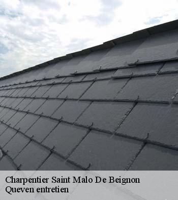 Charpentier  saint-malo-de-beignon-56380 Queven entretien