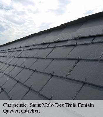 Charpentier  saint-malo-des-trois-fontain-56490 Queven entretien