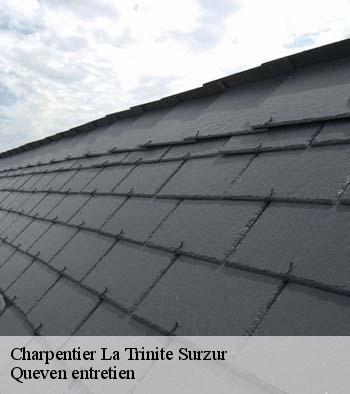 Charpentier  la-trinite-surzur-56190 Queven entretien