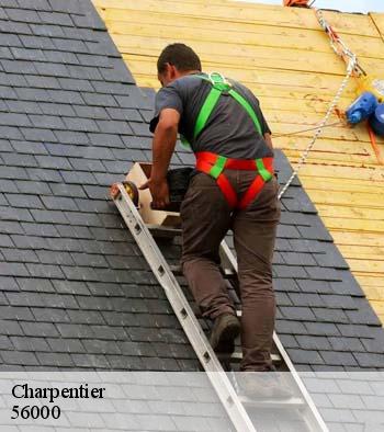 Charpentier  vannes-56000 Queven entretien