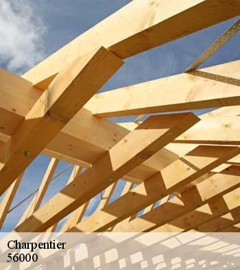 Charpentier  vannes-56000 Queven entretien