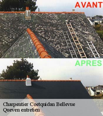 Charpentier  coetquidan-bellevue-56380 Queven entretien