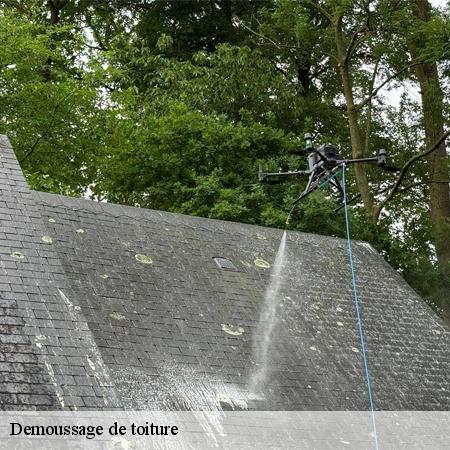 Demoussage de toiture-3