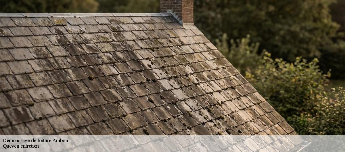 Demoussage de toiture-7