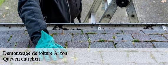 Demoussage de toiture  arzon-56640 Queven entretien