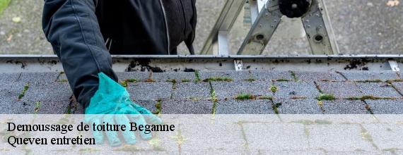 Demoussage de toiture  beganne-56350 Queven entretien