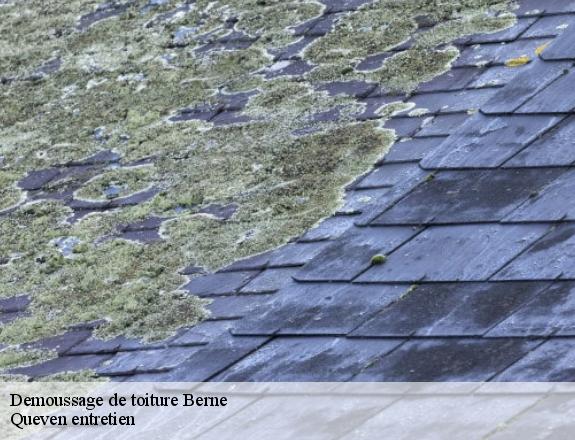 Demoussage de toiture  berne-56240 Queven entretien
