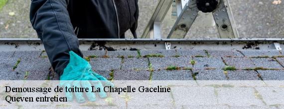Demoussage de toiture  la-chapelle-gaceline-56200 Queven entretien