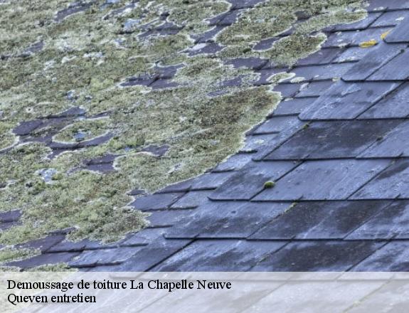 Demoussage de toiture  la-chapelle-neuve-56500 Queven entretien
