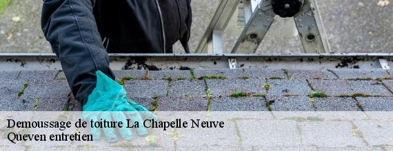 Demoussage de toiture  la-chapelle-neuve-56500 Queven entretien