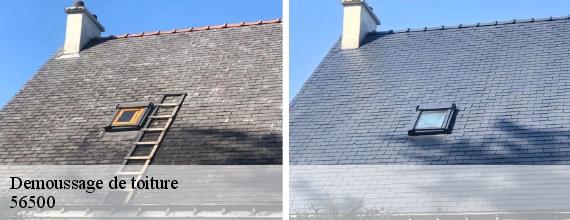 Demoussage de toiture  la-chapelle-neuve-56500 Queven entretien