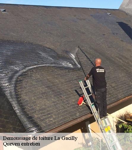 Demoussage de toiture-1