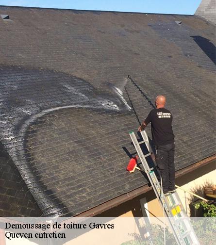 Demoussage de toiture-1